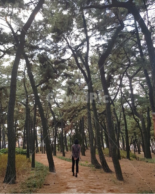 인물,나무,흙,산,편안,휴식,산책,여유,여자,사람