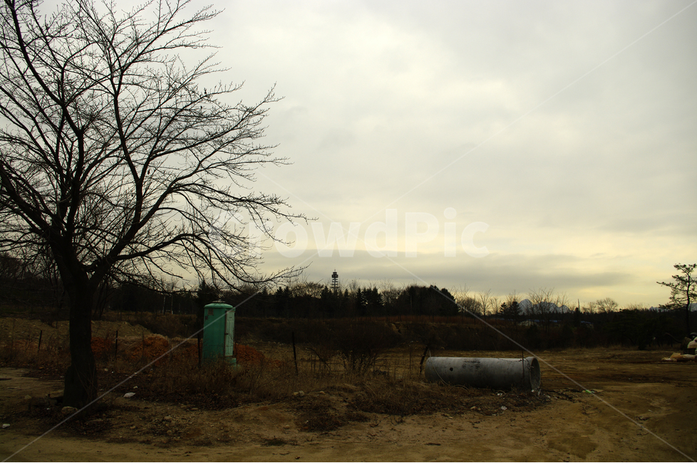 나무,하늘,그림자,겨울,풍경,구름,자연,풍경,nature,landscape,outdoors,옥외,rural,농촌,building,건물