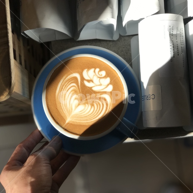 커피,라떼아트,장미,장미꽃,커피아트,카페라떼,coffee,latteart,rose,coffeeart,cafelatte,음료수,drink,beverage,커피,카페,coffee,cafe
