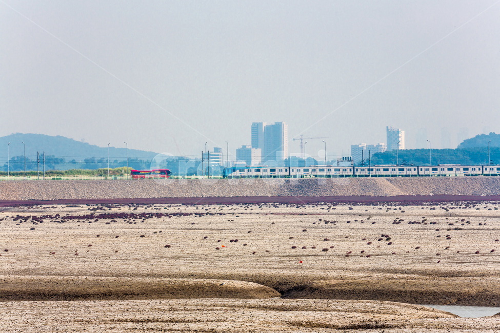 영종도,갯벌,썰물,바닷가,환경,문양,무늬,풍경,자연,풍경,nature,landscape,한국자연풍경,한국자연경관,korea nature landscape