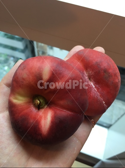 납작복숭아,복숭아,과일,붉은과일,peach,fruit,red,열매,음식,디저트,음식,식재료,요리,food,cook,meal,dishes,food reserves,과일,열매,fruit