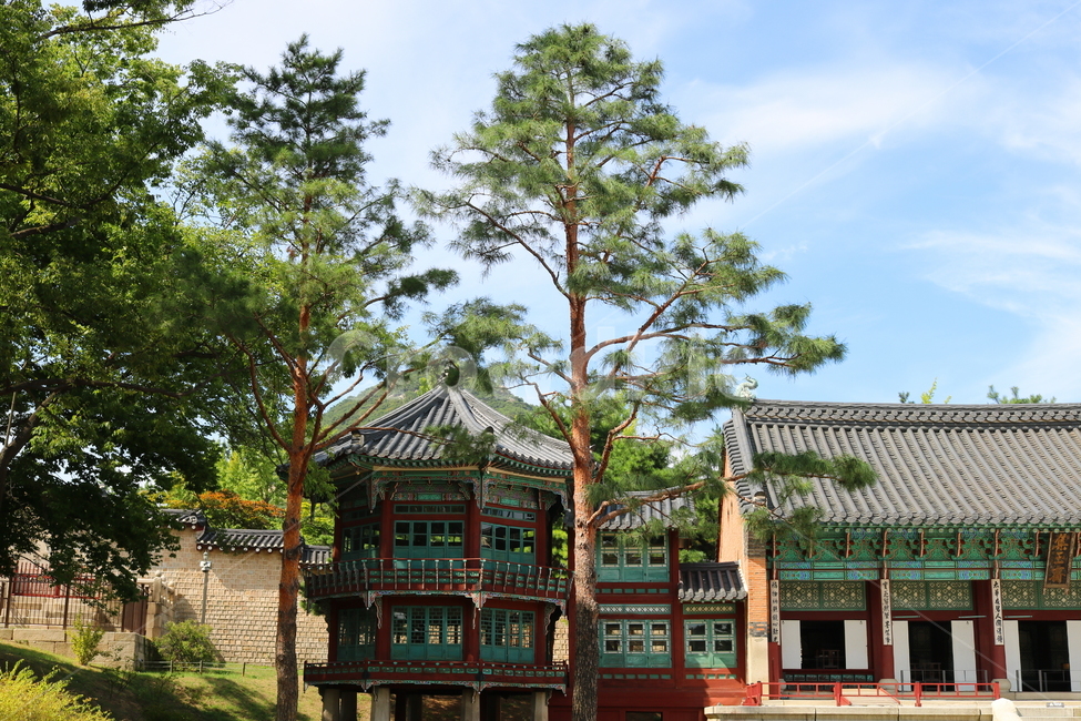 경복궁,고궁,기와지붕,광화문,옛날집,서울,팔각정,나무,한국전통,한국문화,korean traditional,korean culture,랜드마크,landmark,tourist attraction,한국랜드마크,한국관광지,한국명소,korea landmark,korea tourist attraction,건축물,건물외관,exterior,building,structure,architecture,construction
