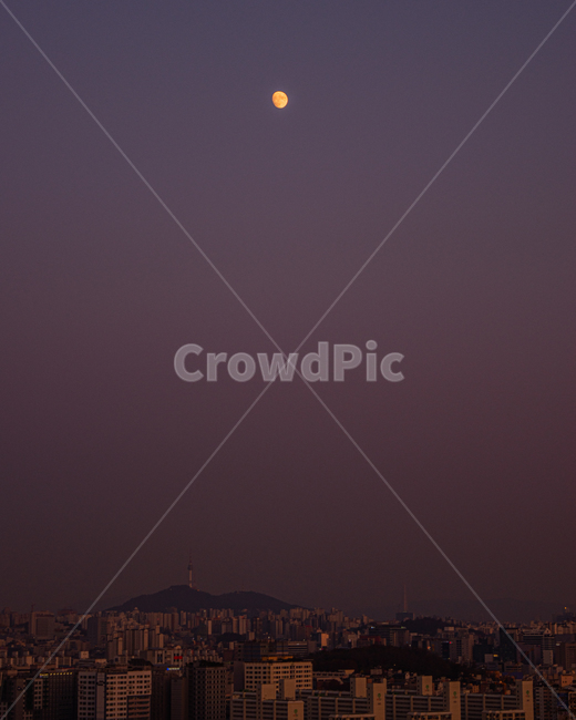 저녁,달,달빛,둥근달,공원,보름달,야경,밤,풍경,nightscape,night,landscape,도시,city