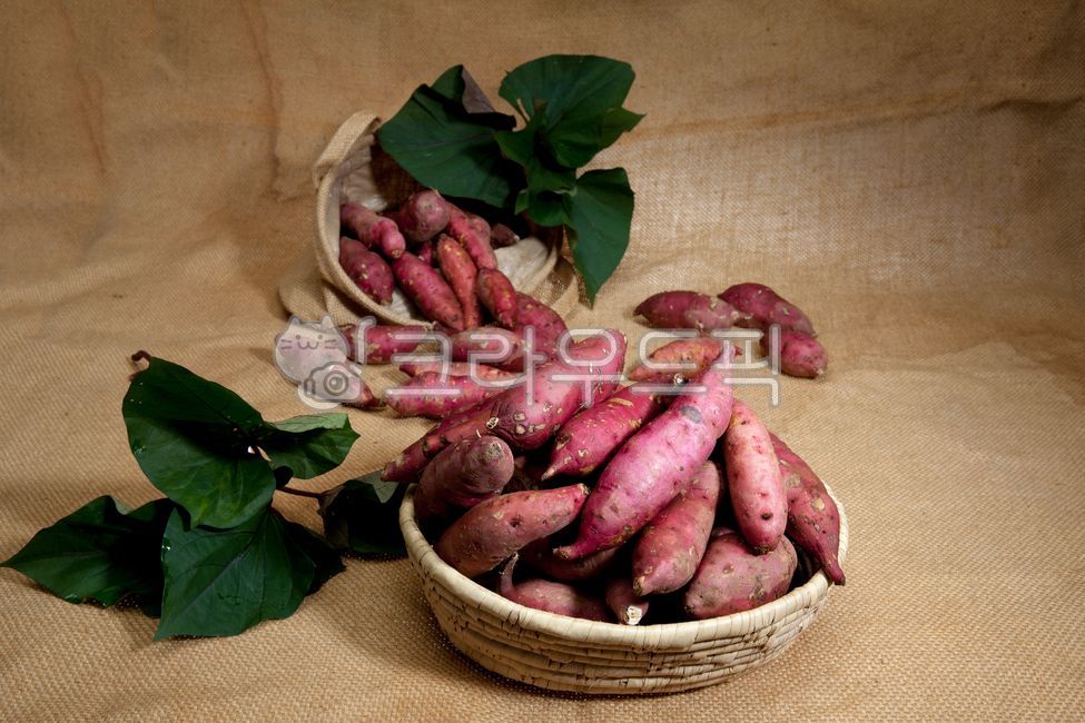 chestnut sweet potato,sweet potato,Roasted Sweet Potato,Honey sweet potato,Fresh sweet potatoes,Pumpkin Sweet Potato