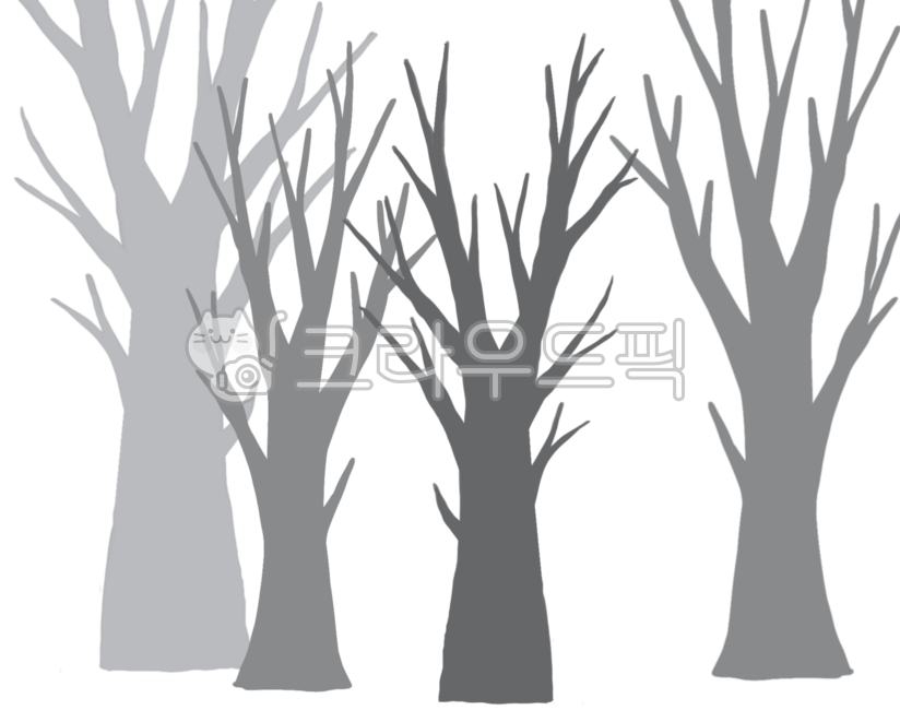 Winter tree,gray tree,shadow tree,tree,bare tree branches,shape,tree shape,winter