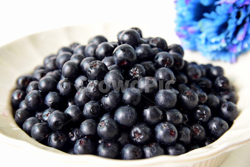 아로니아,아로니아베리,베리류,음식,식재료,과일,열매,베리,아로니아열매,접시,aronia,aroniaberry,plate,fruit,berry,food,과일,열매,fruit