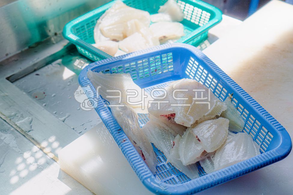 fishing,Sekkosi,flounder,sea fishing,Sashimi Center,raw fish,review,fish,sashimi,raw fish restaurant,boat fishing,Experience fishing