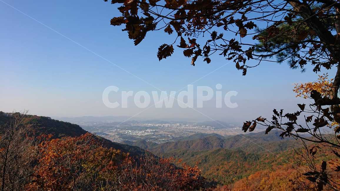 가을,가을산,춘천,단풍산,단풍,산