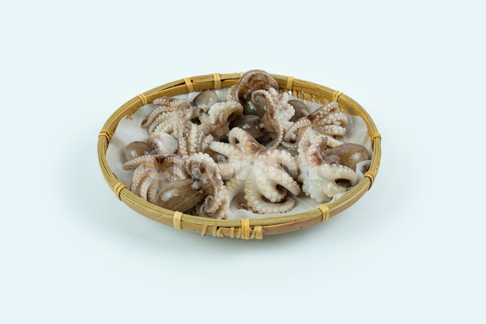 해산물,해물,낙지,주꾸미,요리재료,음식재료,어류,동물,해양생물,문어,싱싱한,신선한,요리,음식,식품,누끼