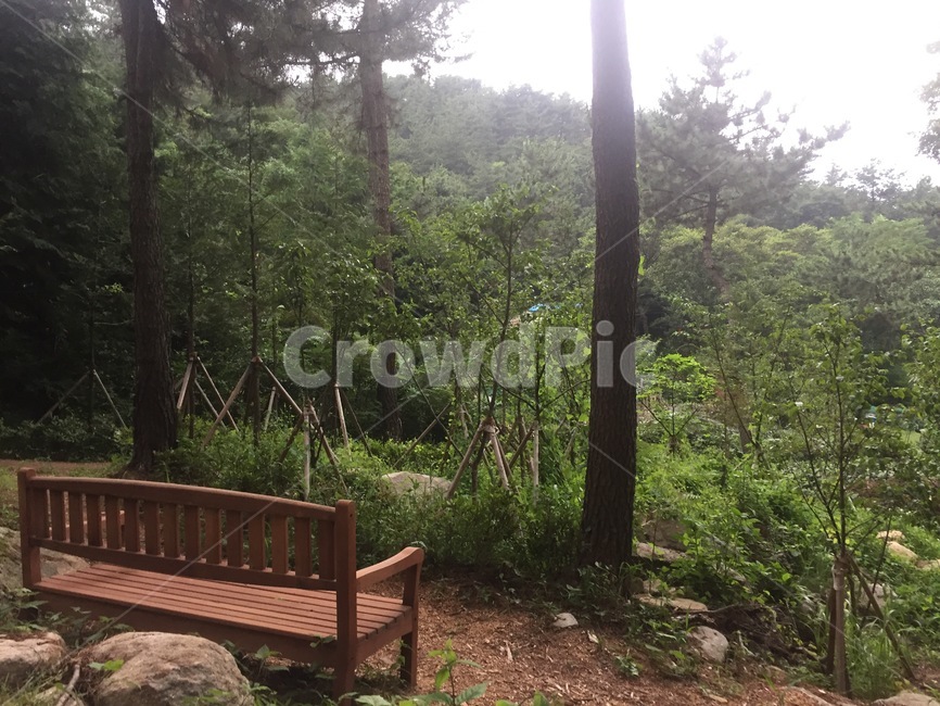 백양산,휴식,의자,숲,등산로,chair,forest,rest