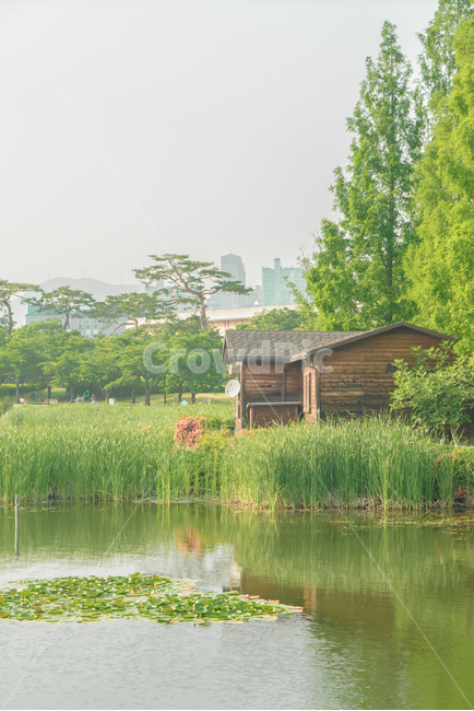 자연,풍경,감성,nature,scenery,landscape,자연,풍경,nature,landscape,한국자연풍경,한국자연경관,korea nature landscape,감성,sensible,feeling,outdoors,옥외,building,건물