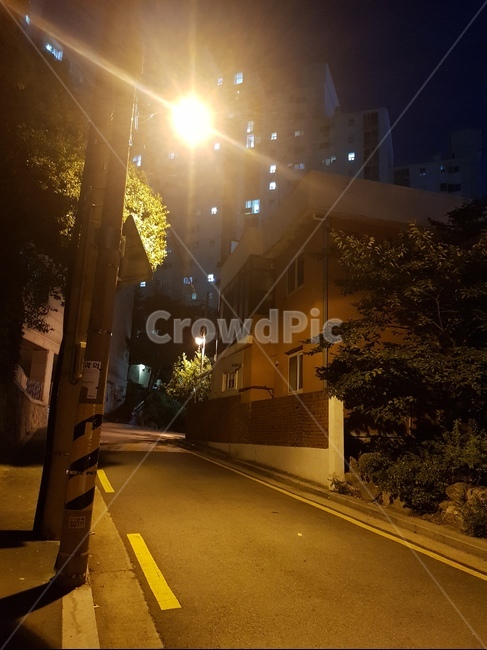 전봇대,가로등,밤길,골목길,가로등앞,골목어귀