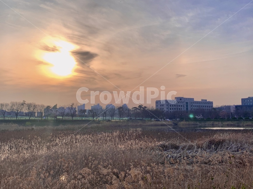 nature,자연,outdoors,노을,풍경,갈대
