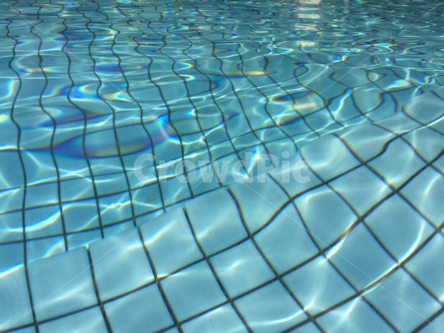 water,물,pool,풀,outdoors,옥외,수영장,수영,여름,summer,swimming,여름,계절,summer,season