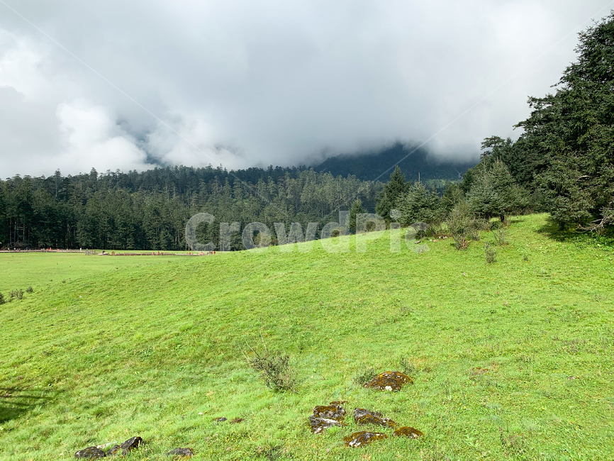 field,들,outdoors,grassland,목초지,nature,자연,countryside,산,mountain,green,풍경,landscape,greenery,녹색
