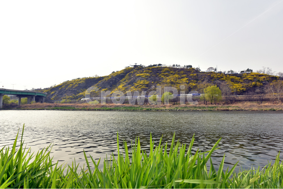 풍경,landscape,응봉산,개나리,응봉산개나리,철길,봄,계절,spring,season,자연,풍경,nature,landscape,water,물,outdoors,옥외,land,땅