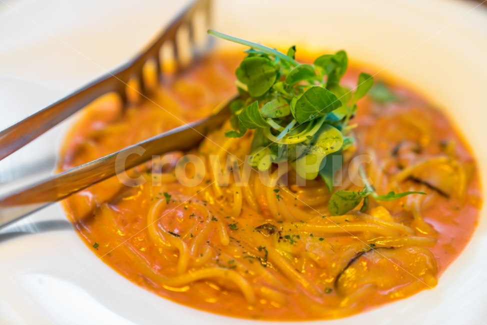 요리,파스타,음식,스파게티,food,음식,식재료,요리,food,cook,meal,dishes,food reserves,면류,면요리,noodles,양식,서양음식,서양요리,western food,western dishes,western meal,western cook