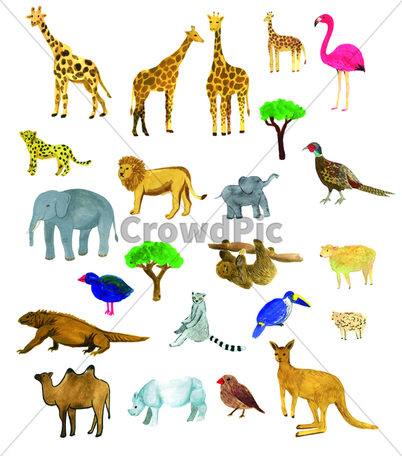 손그림,물감그림,handdrawing,watercolor,동물,animal,기린,giraffe,홍학,flamingo,사자,lion,코끼리,낙타,camel,elephant,꿩,캥거루,kangaroo,코모도왕도마뱀,komododragon,pheasant,나무늘보,sloth,양,sheep