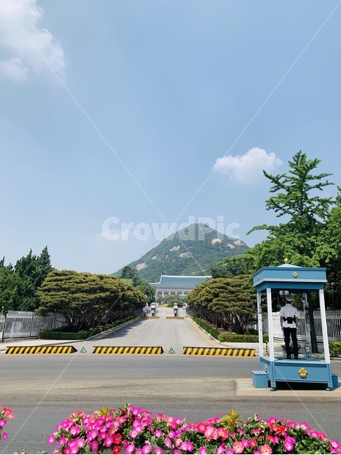 청와대,경복궁,배경,입구,도로,랜드마크,landmark,tourist attraction,한국랜드마크,한국관광지,한국명소,korea landmark,korea tourist attraction