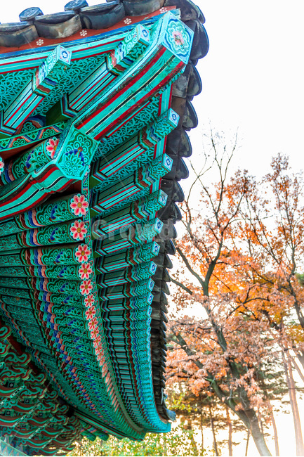 선,기와,처마,문양,단청,무늬,사찰,한국전통,한국문화,korean traditional,korean culture,건축물,건물외관,exterior,building,structure,architecture,construction