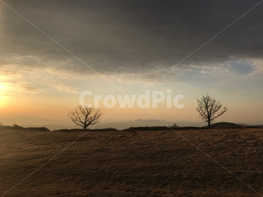일출,나무,풍경,구름,산,황매산,자연,nature,겨울산,겨울나무,landscape,햇살