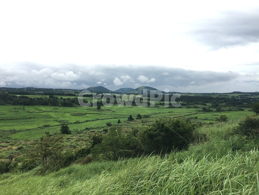 자연,제주도,잔디,식물,오름,자연,풍경,nature,landscape,outdoors,옥외,grassland,목초지,field,들