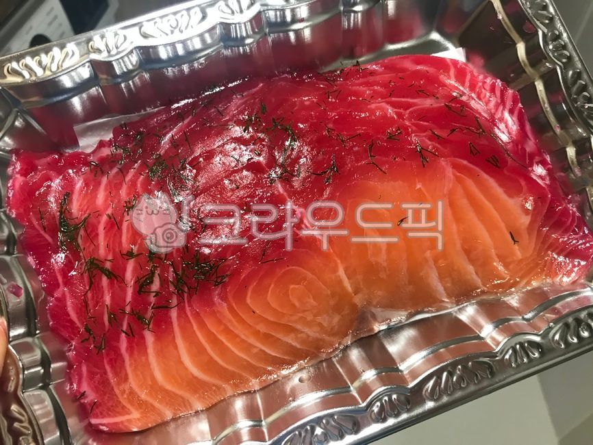 연어, 연어회, 노르웨이, salmon, 생선, 사진,이미지,일러스트,캘리그라피 - Nmskim2067작가