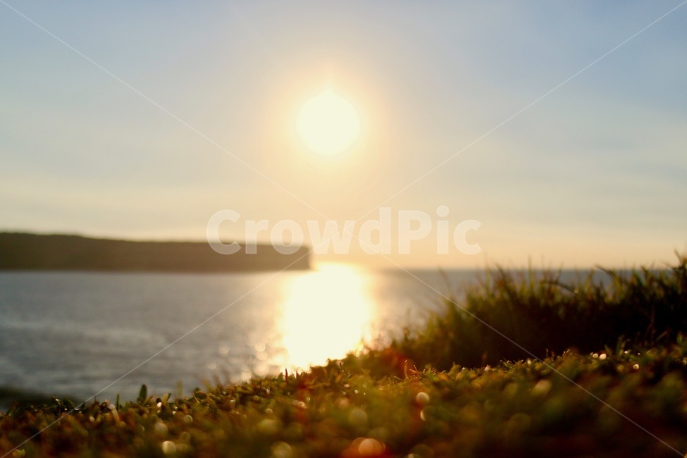 일출,잔디,풀,바다,호주,자연,풍경,nature,landscape,flare,플레어,light,빛,outdoors,옥외