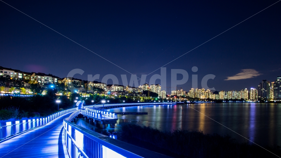 수원,광교,호수공원,야경,도시야경,공원,도시,풍경,city,landscape,야경,밤,nightscape,night,road,도로