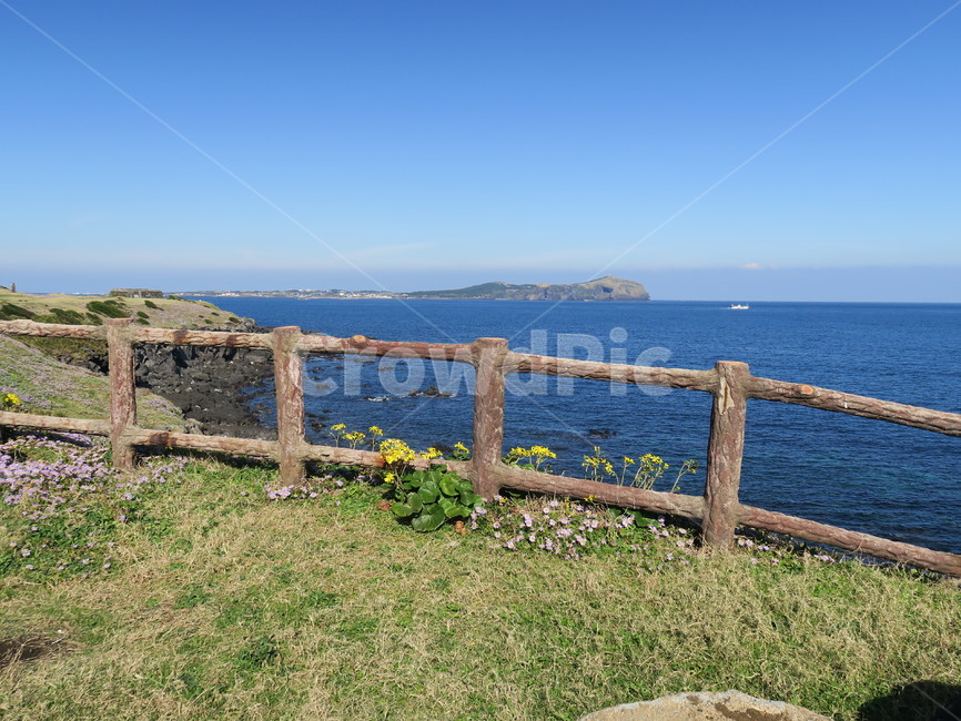 제주도,handrail,banister,railing,난간,제주바다,꽃,바다,자연,풍경,nature,landscape