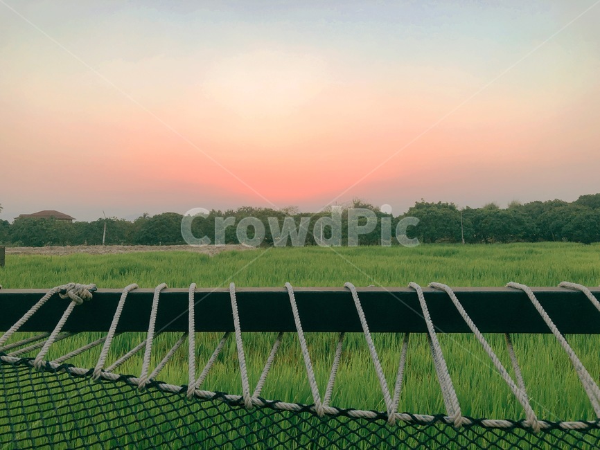 치앙마이,치앙마이선셋,논,sunset,치앙마이노을,국외,풍경,자연,논밭,일몰