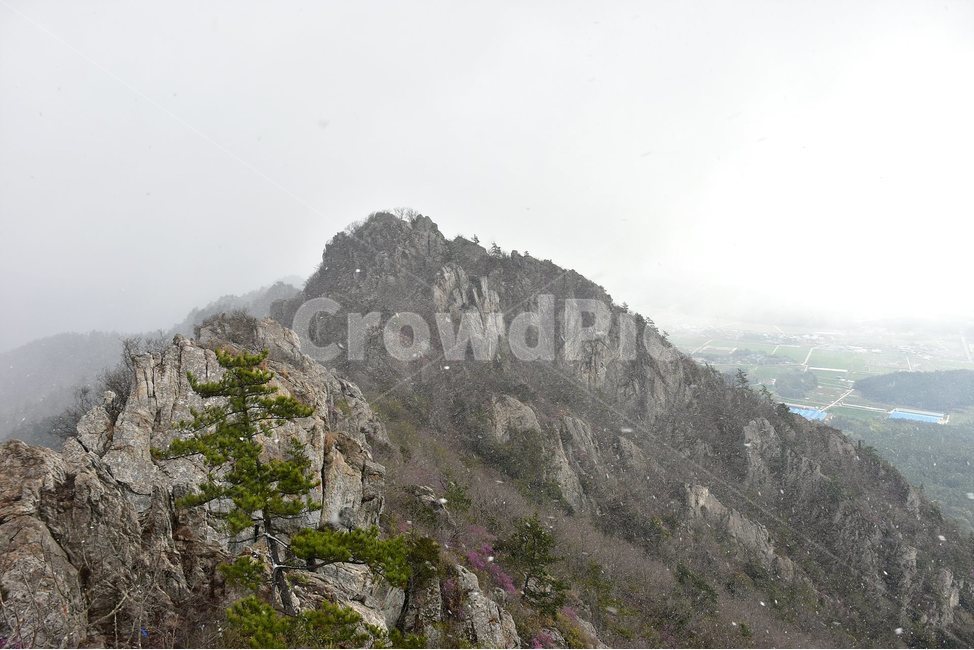 주작산,덕룡산,종주,진달래,풍경,기암,바위,비경,봄풍경,진달래꽃,강진,명산,산행,등산,마운틴,힐링,mountain,landscape,자연,natural,자연,풍경,nature,landscape,한국자연풍경,한국자연경관,korea nature landscape,outdoors,옥외