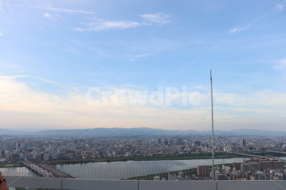 nature,자연,outdoors,옥외,landscape,경치,scenery,풍경,하늘,구름,건물,도시,풍경,city,landscape,곤충,벌레,insect,bug