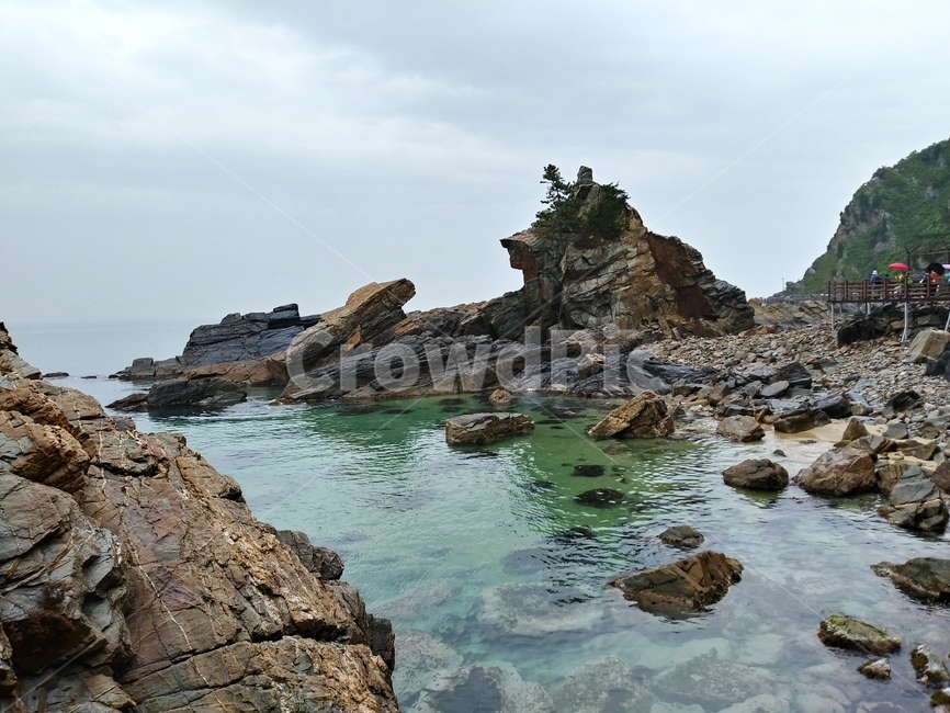 부채바위,부채길,정동진부채바위,강릉부채바위,부채바위길,해안길,바다,ocean,sea,해안선,해안가길,자연,풍경,nature,landscape