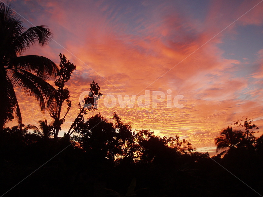 인도네시아,보르네오,칼리만탄,석양,일몰,붉은하늘,실루엣,indonesia,kalimantan,borneo,sunset,dusk,twilight,silhouette,정글,정글석양,밀림,자연,nature