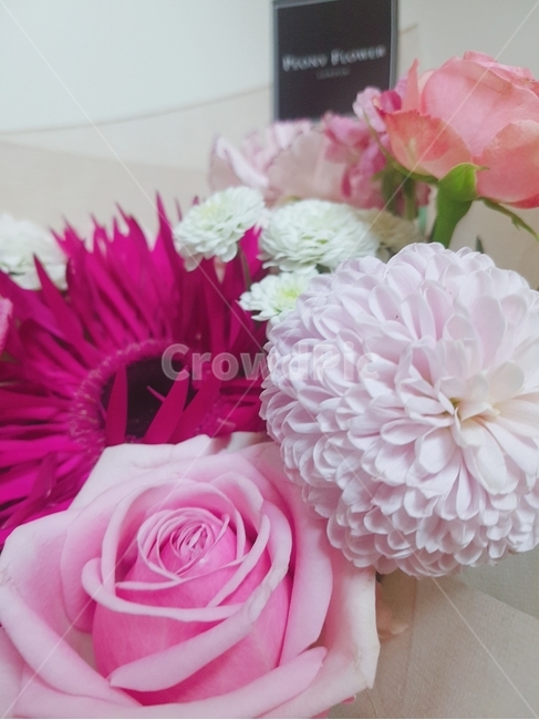 꽃,꽃다발,선물,기념일,좋은날,행복,졸업식,꽃,flower