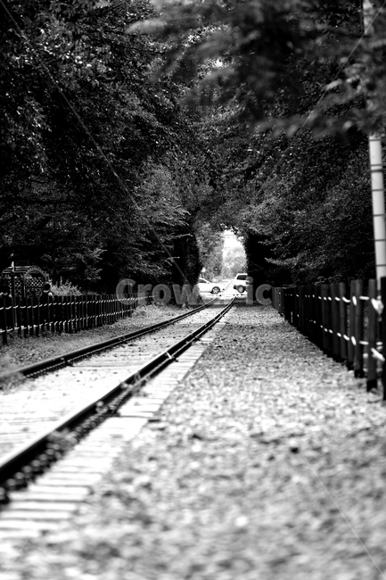 기찻길,철도,traintrack,레일,rail,railway,흑백,모노톤,monochrome,black and white