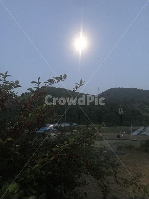 시골풍경,서천,농사,푸르름,힐링,자연인