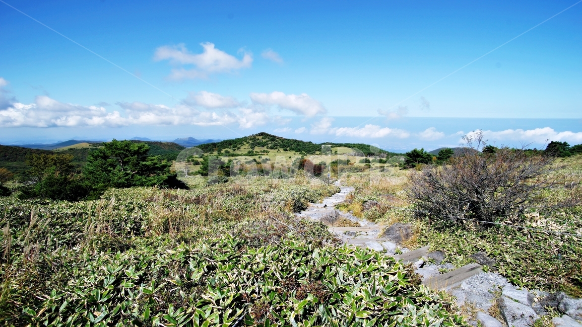제주도,한라산,윗세오름,하늘,구름,길,자연,nature,outdoors,바다,land