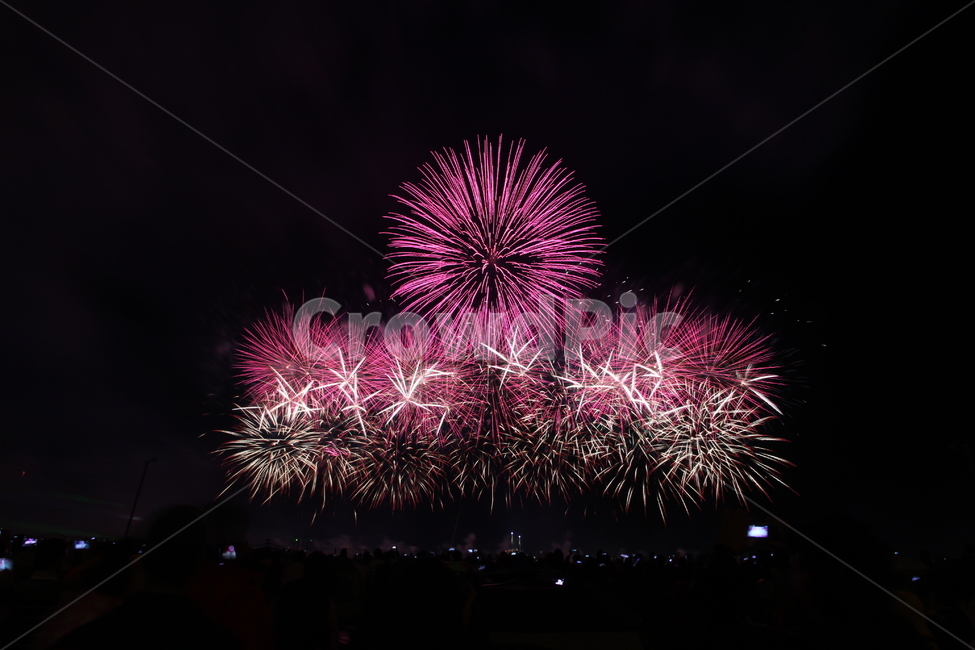 Songdo,autumn night,Central Park,festival,Fireworks