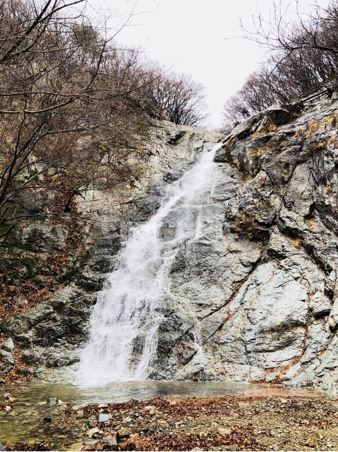 폭포,물,낙하,폭포수,풍경