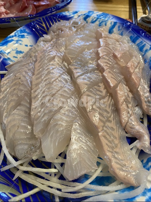 광어,광어회,회,fish,sashimi