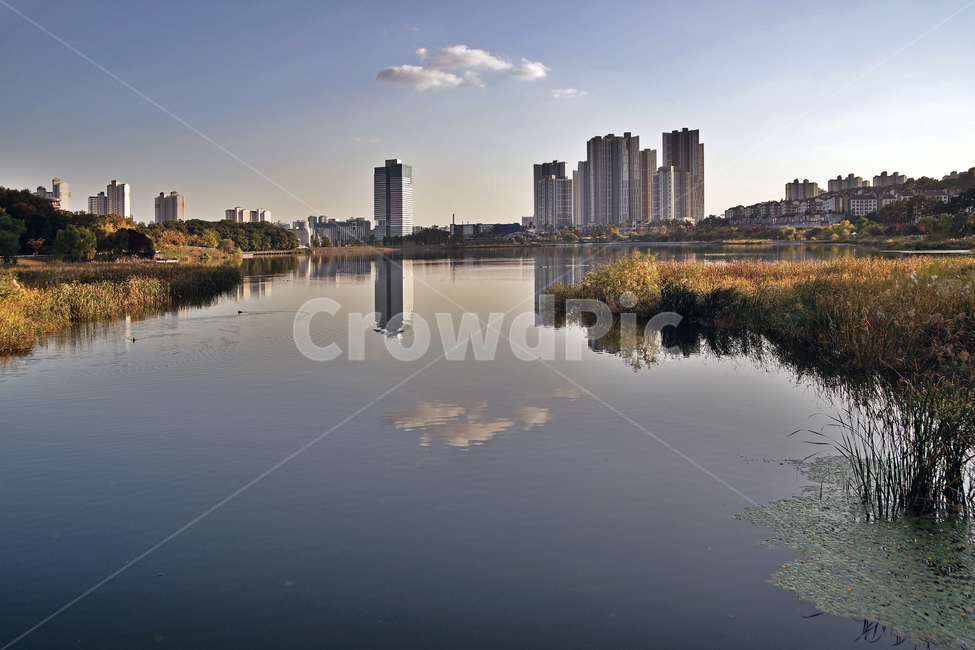 reflection,Gwanggyo Lake Park,Wonwon Reservoir,Yeongtong,autumn,Suwon,park,apartment