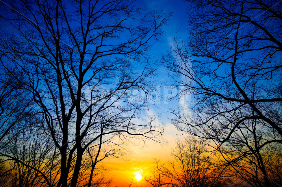 하늘,빛,redsky,붉은하늘,nature