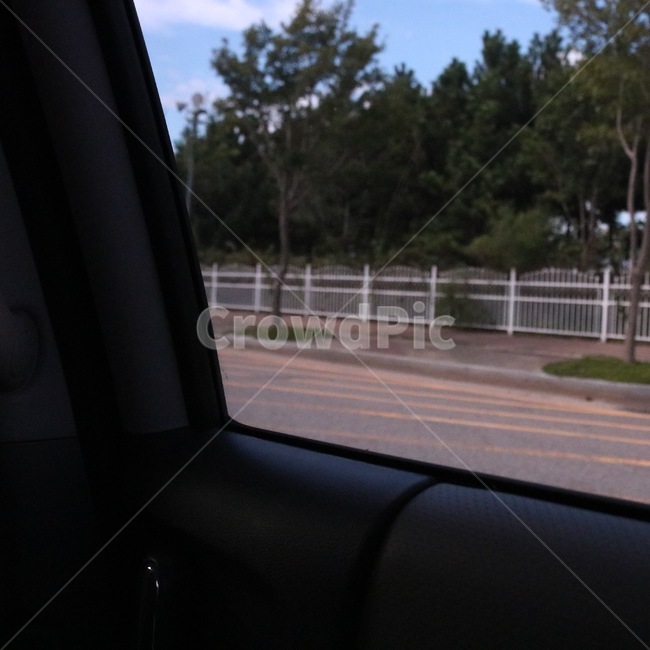 감성,차,풍경,나무,자연,식물,하늘,구름,초록,하늘색,흰색,car,kuruma,tree,ki,nature,plants,shokubutsu,sky,sora,cloud,kumo,green,midori,skyblue,sorairo,white,shiro,교통,교통수단,traffic,transportation