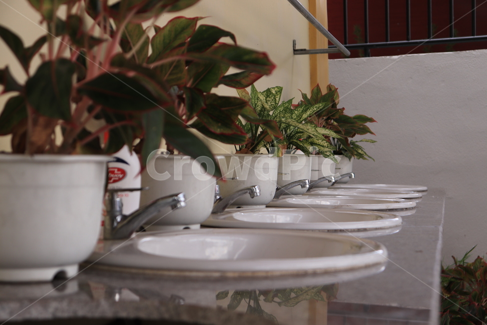 식물,세면대,가구,인테리어,plants,handbasin,washstand,furniture,interior