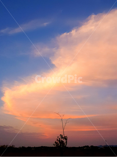 노을,하늘,구름,일몰,풍경,nature,자연,outdoors,옥외,sky