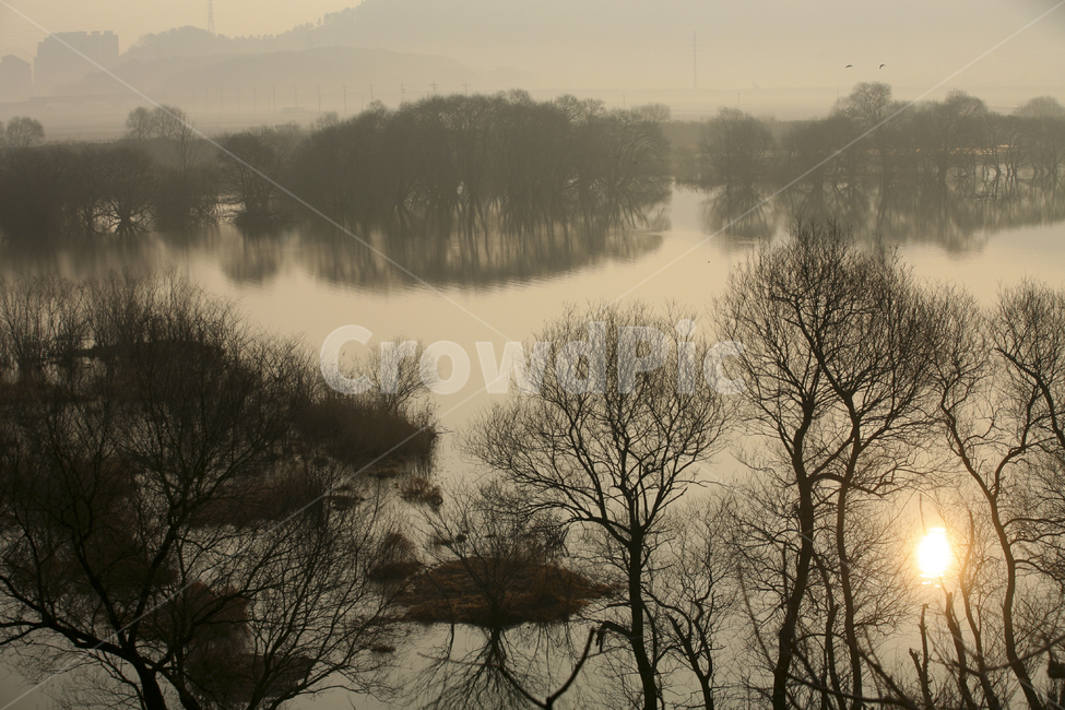자연,nature,주남저수지,저수지,반영,아침,나무,겨울,자연,풍경,nature,landscape,weather,날씨,outdoors,옥외