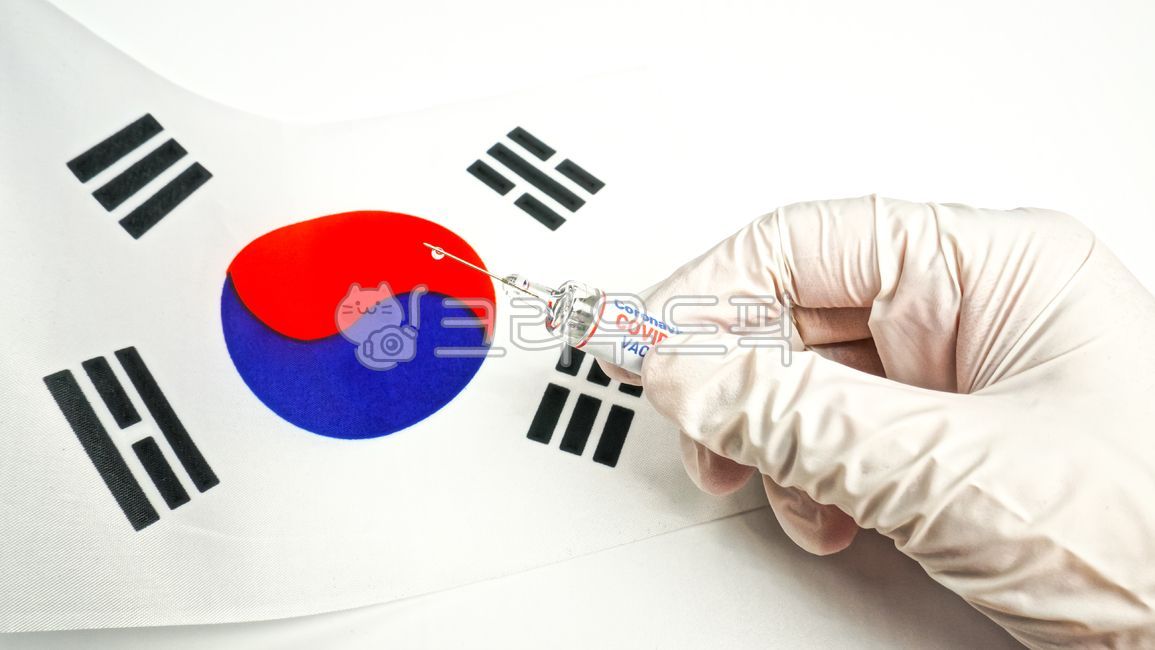 백신,코로나바이러스,코로나,바이러스,코로나19,covid19,신종플루,예방,예방백신,개발,백신개발,의학,예방접종,전염병,예방주사,시린지,주사,질병,감염병,팬더믹,의료,보건,보건소,제약회사,건강,신종,독감,독감백신,수술장갑,보호장갑,감염,주사기,신약,신약개발,접종,박테리아,k방역,태극기,한국,대한민국,방역,애국심,긍지,주입,흰색배경,흰색,프리필드시린지,copyspace,coronavirus,corona,vaccine,korean,korea,2019ncov,clinic,concept,covid,covid19,covid19vaccination,development,disease,doctor,epidemic,experiment,health,healthcare,immune,immunization,infection,injection,medical,medicine,needle,nurse,pandemic,prevention,protection,research,sample,scientific,syringe,test,vaccination,virology,virus,professional,flag,nationalflag,taegeuk,background,symbol,country,emblem,design,white,southkorea,isolated,의료,의학,병원,medical,hospital,clinic
