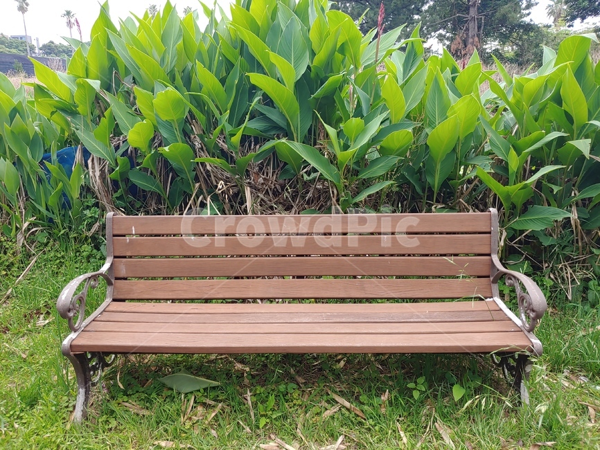 벤치,나무,풀,풀밭,공원,휴식,의자,배경